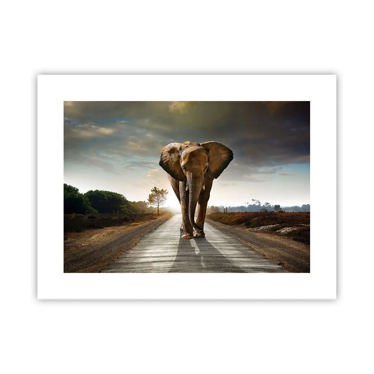 Plakat - I wcale nie w składzie porcelany - 40x30 cm