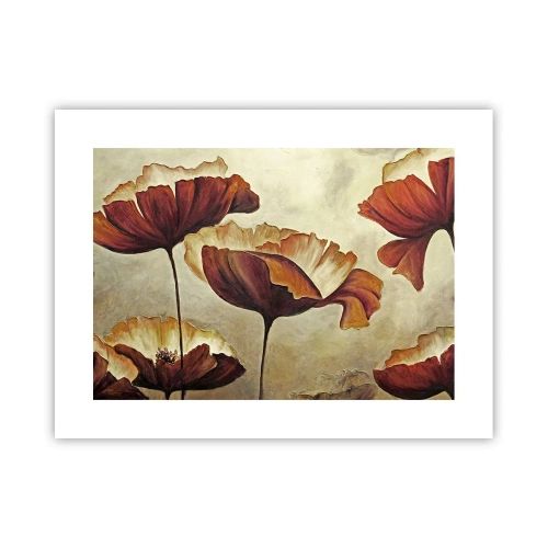 Plakat - Łąki łan - 40x30 cm