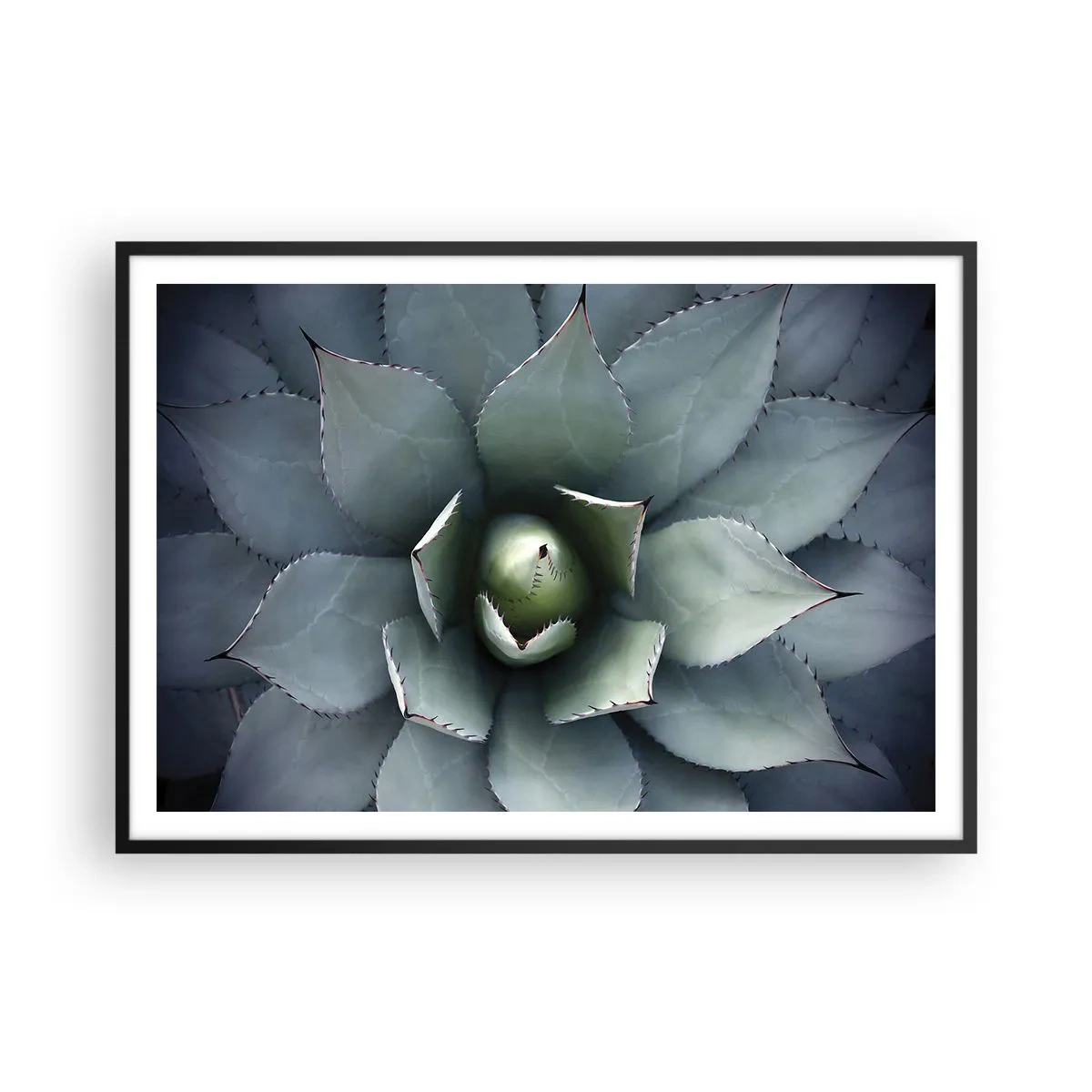 Plakat w czarnej ramie - Zbliżenie na rozetę agawy w delikatnych odcieniach zieleni - 100x70cm - Wabi i przestrzega - Nowoczesna dekoracja ścienna do salonu i sypialni ARTTOR