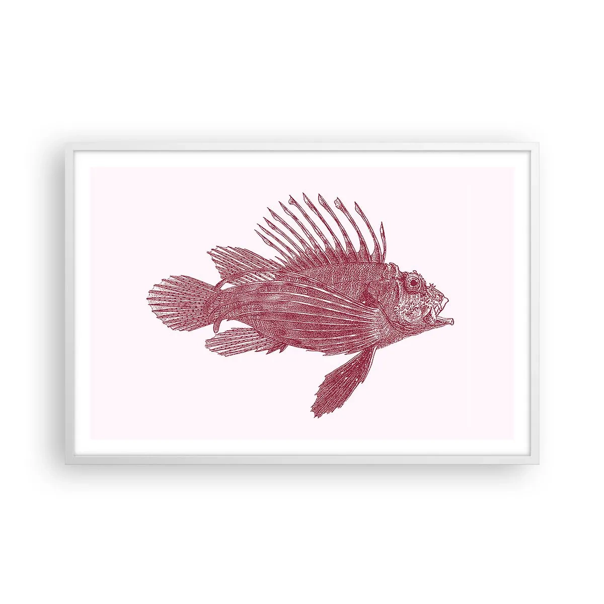 Plakat w białej ramie - Mieszkanka egzotycznych wód - 91x61 cm