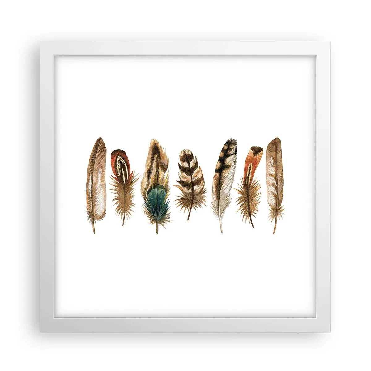 Plakat w białej ramie - Pierzasta wariacja - 30x30 cm