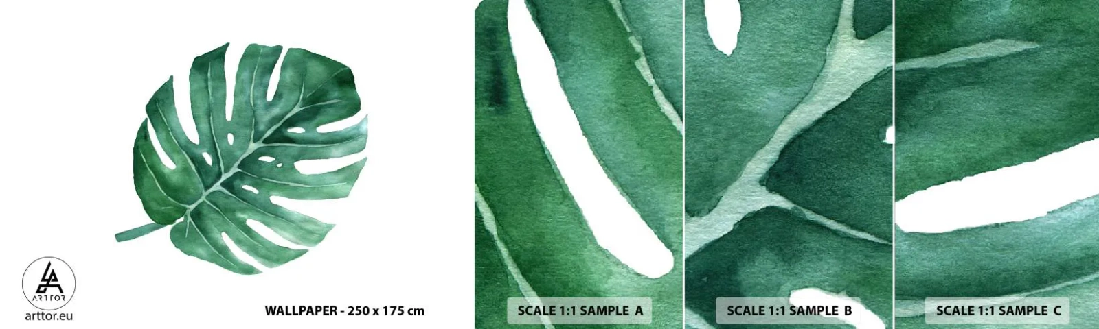 Fototapeta Próbka Samoprzylepna Deluxe Sticker - Zielony koncept - Monstera, Liść, Boho - 100x30 cm