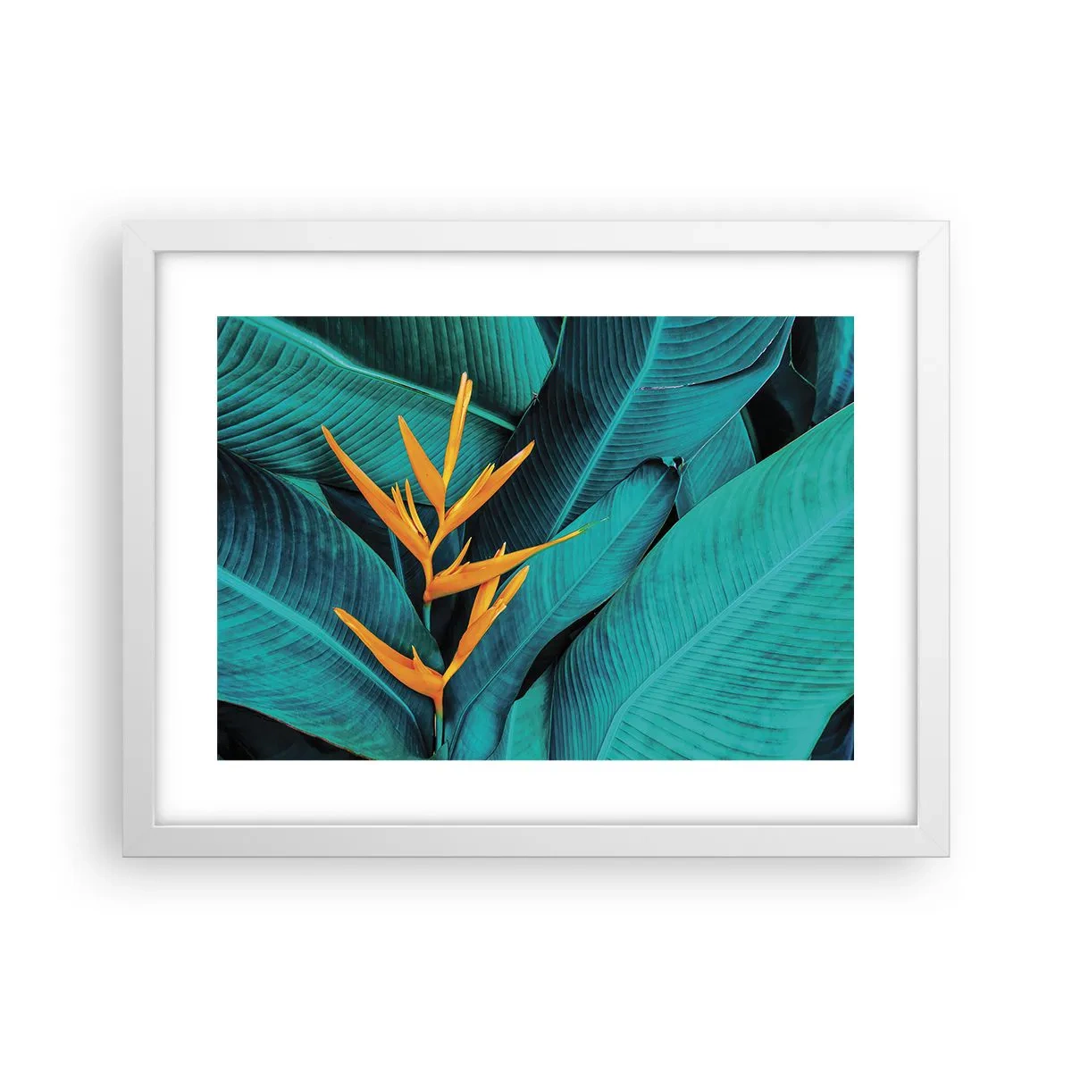 Plakat w białej ramie - Kwiat Edenu - 40x30 cm