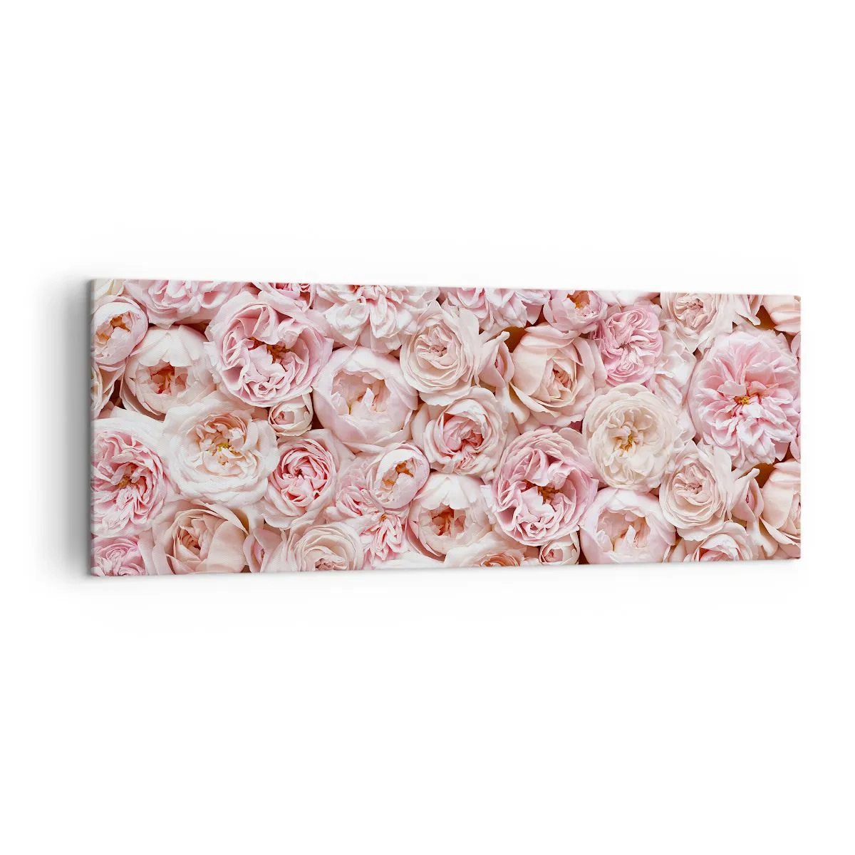 Obraz na płótnie - Delikatne róże w odcieniach różu na całej powierzchni - 140x50cm - Usłane różami - Nowoczesna dekoracja ścienna do salonu i sypialni ARTTOR