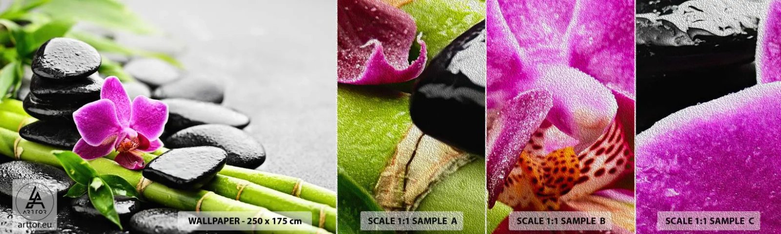 Fototapeta Próbka Premium Sand - W spokojnej równowadze - Kwiaty, Orchidea, Storczyk - 100x30 cm