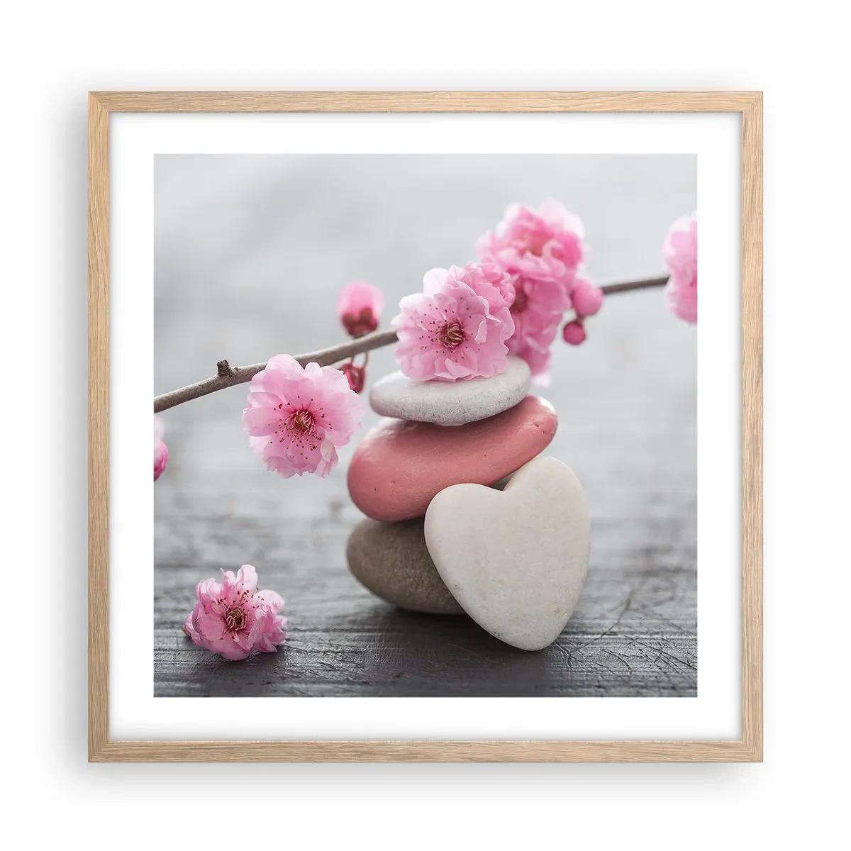 Plakat w ramie jasny dąb - Błogość z kwiatem wiśni - 50x50 cm