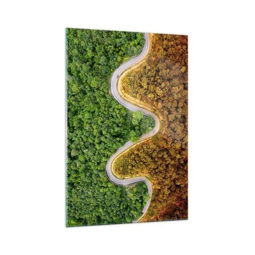 Obraz na szkle - Zakręcona droga przez las widziana z lotu ptaka - 70x100cm - Granice i przełomy - Nowoczesna dekoracja ścienna do salonu i sypialni ARTTOR