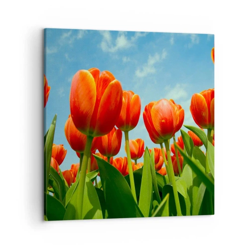Obraz na płótnie - Oprócz błękitnego nieba nic im w życiu nie potrzeba - 50x50 cm