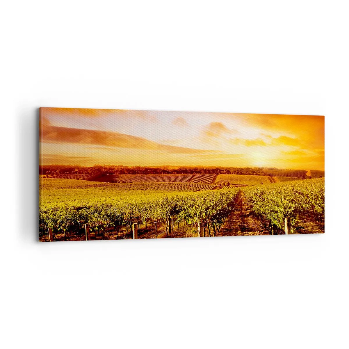 Obraz na płótnie - Delikatnie owocowe z nutą słońca - 100x40 cm