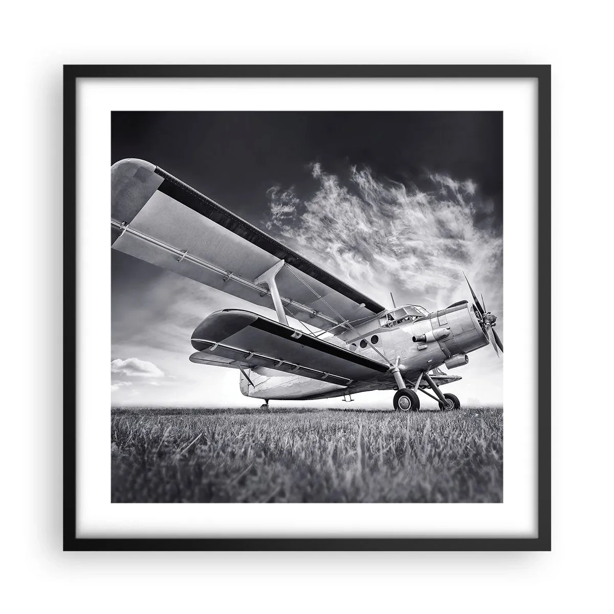 Plakat w czarnej ramie - Skrzydlaty wędrowiec - 50x50 cm