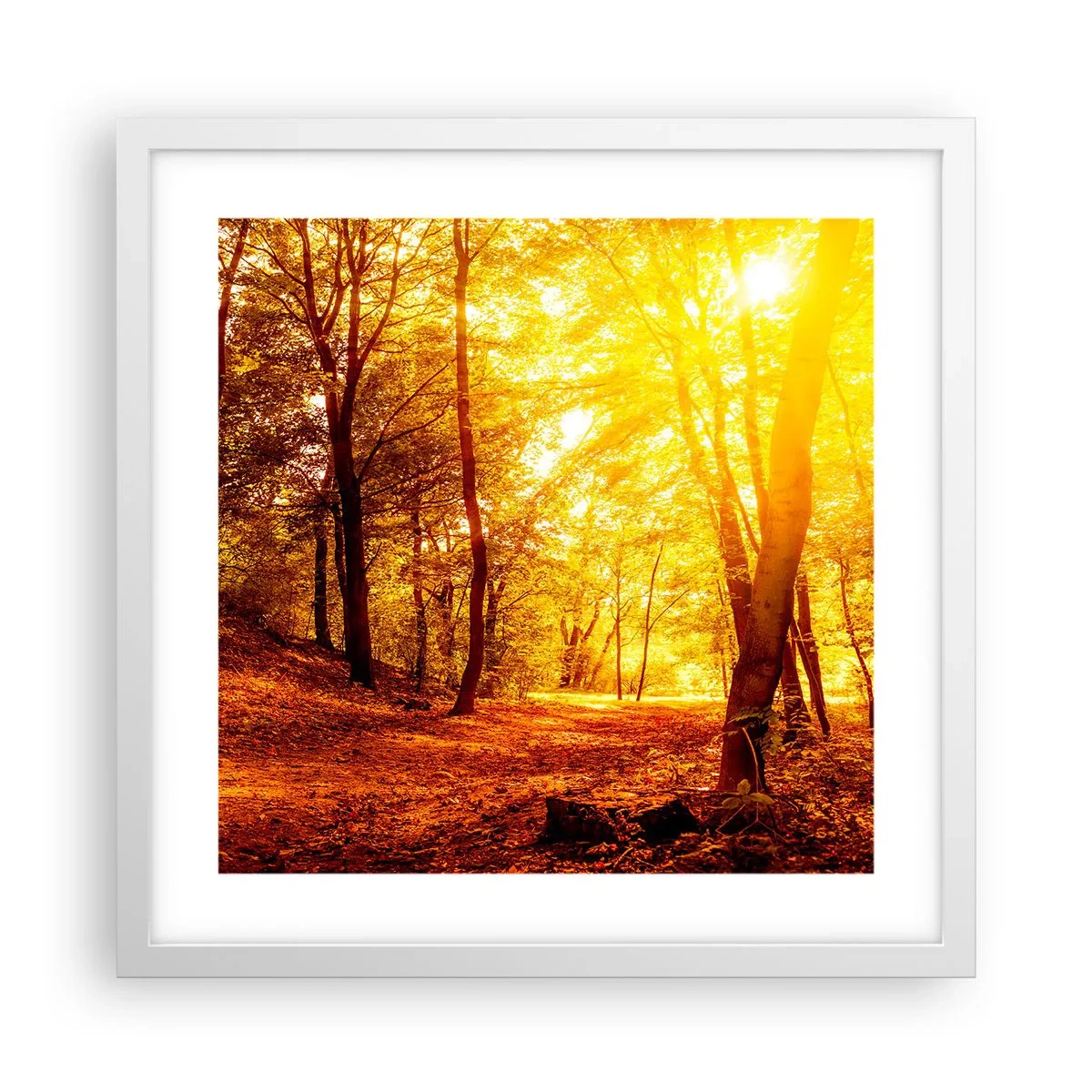 Plakat w białej ramie - Ku złotej polanie - 40x40 cm