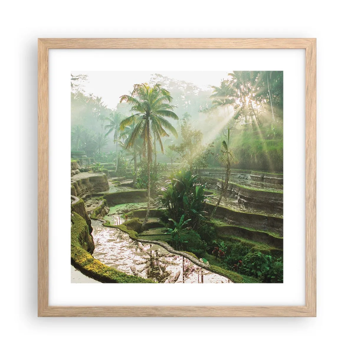 Plakat w ramie jasny dąb - Dorastać w słońcu - 40x40 cm