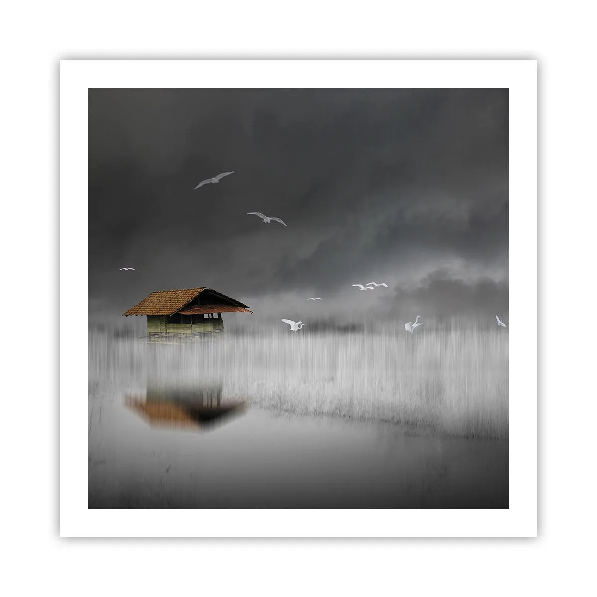 Plakat - Schronienie przed deszczem - 60x60 cm