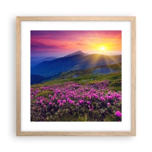 Plakat w ramie jasny dąb - … A dokoła pachnie kosodrzewina i wonieją zioła - 40x40 cm