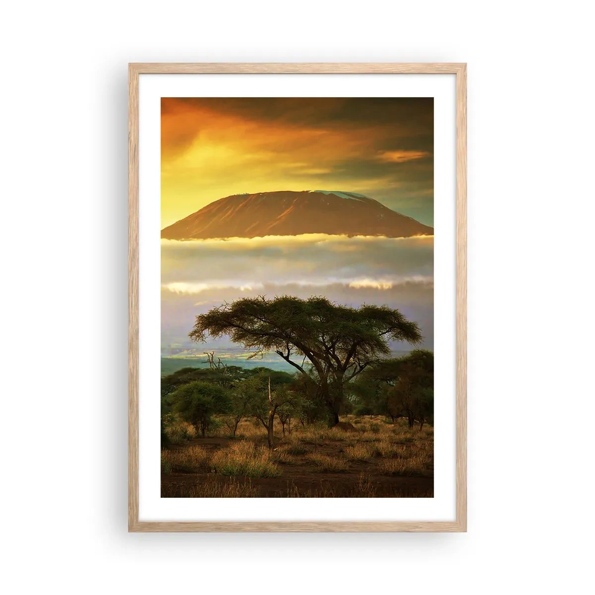 Plakat w ramie jasny dąb - Sen podróżnika - 50x70 cm