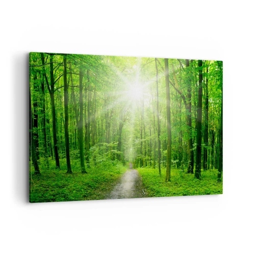 Obraz na płótnie - Ścieżka w lesie z promieniami słońca - 100x70cm - Zielona katedra - Nowoczesna dekoracja ścienna do salonu, kuchni i sypialni ARTTOR