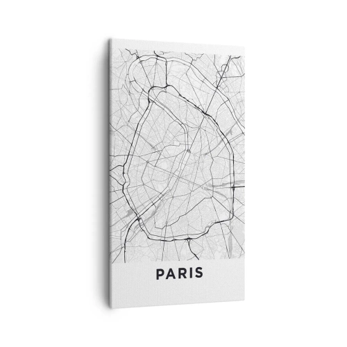 Obraz na płótnie - Kwiat Paryża - 45x80 cm