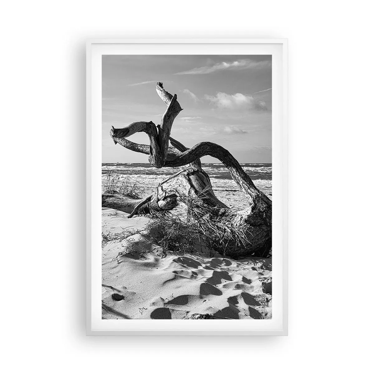 Plakat w białej ramie - Morska rzeźba - 61x91 cm