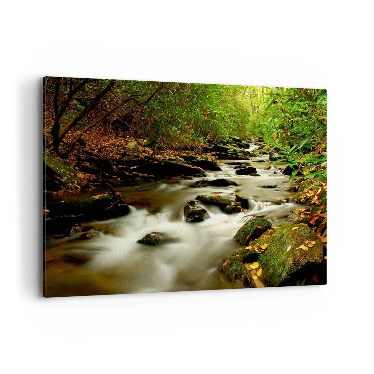 Obraz na płótnie - Leśny strumień płynący pomiędzy kamieniami otoczony zielenią - 100x70cm - Jak płynne srebro - Nowoczesna dekoracja ścienna do salonu, kuchni i sypialni ARTTOR