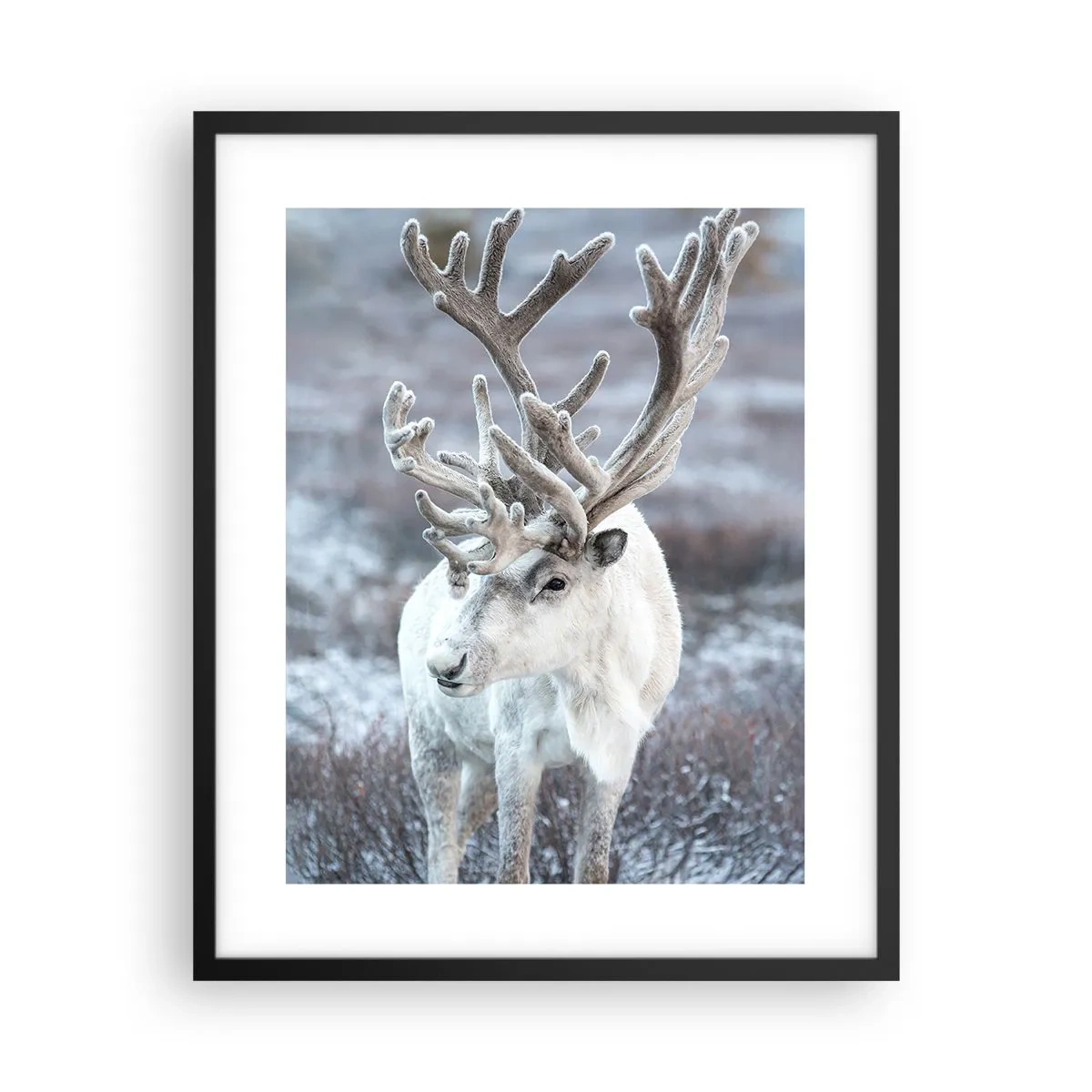 Plakat w czarnej ramie - Portret w słońcu - 40x50 cm