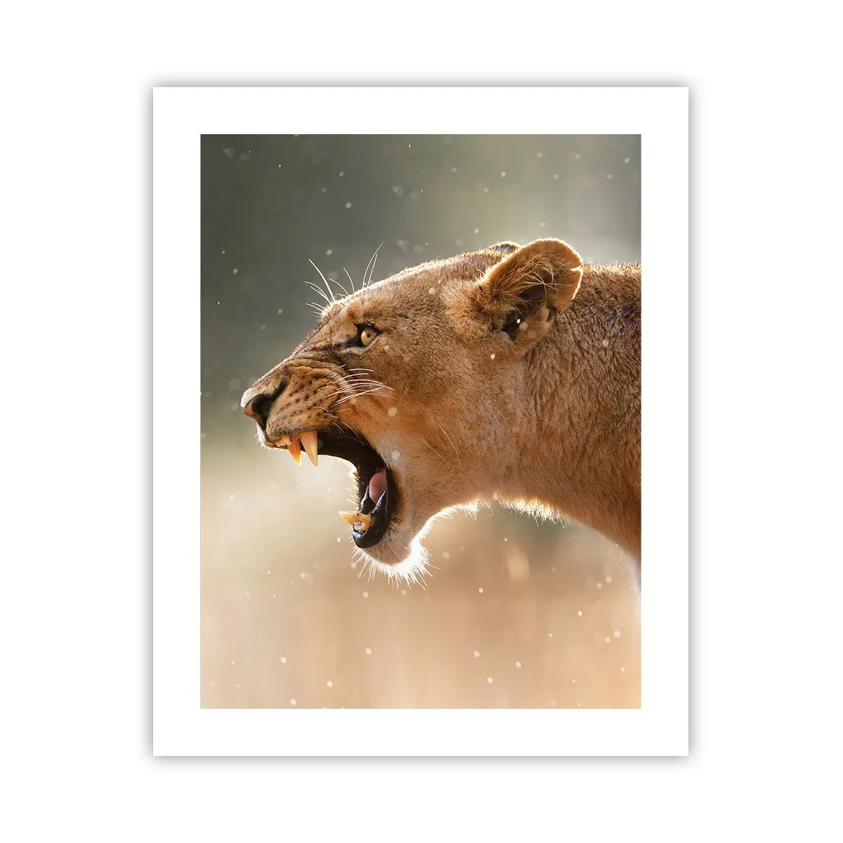 Plakat - Spróbuj nie posłuchać - 40x50 cm