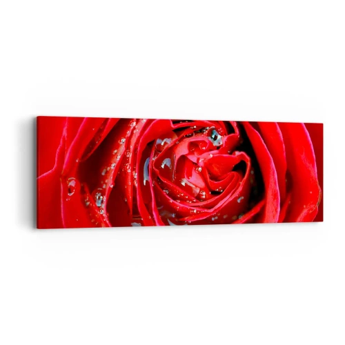 Obraz na płótnie - W kroplach rosy - 90x30 cm