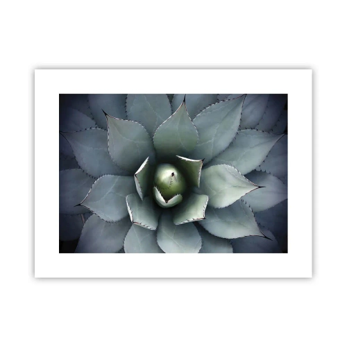 Plakat - Wabi i przestrzega - 40x30 cm