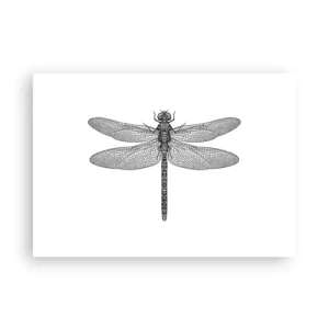 Plakat - Czarno-biały rysunek ważki na białym tle w minimalistycznym stylu - 100x70cm - Precyzja natury - Nowoczesna dekoracja ścienna do salonu i sypialni ARTTOR