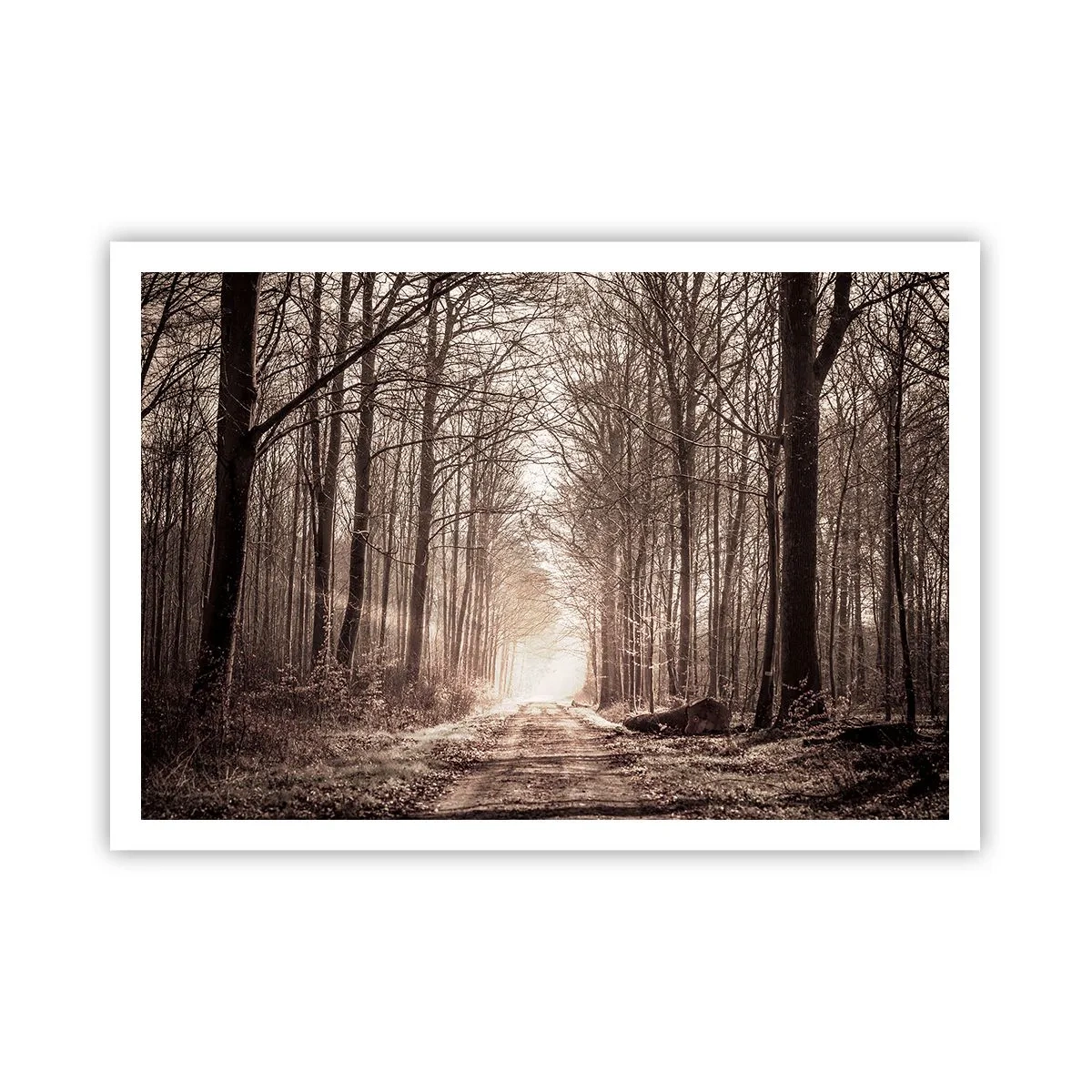 Plakat - Leśna ścieżka wśród drzew w odcieniach sepii - 100x70cm - Leśna katedra - Nowoczesna dekoracja ścienna do salonu i sypialni ARTTOR