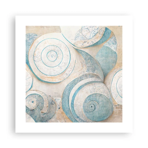 Plakat - Co kryje muszla? - 40x40 cm