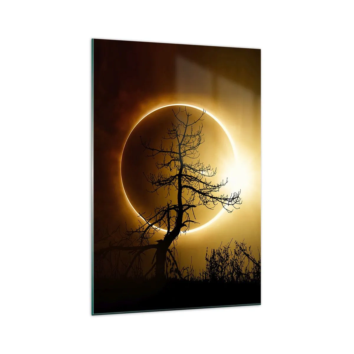 Obraz na szkle - Zaćmienie słońca z sylwetką drzewa na pierwszym planie - 70x100cm - Całkowite zaćmienie - Nowoczesna dekoracja ścienna do salonu i sypialni ARTTOR