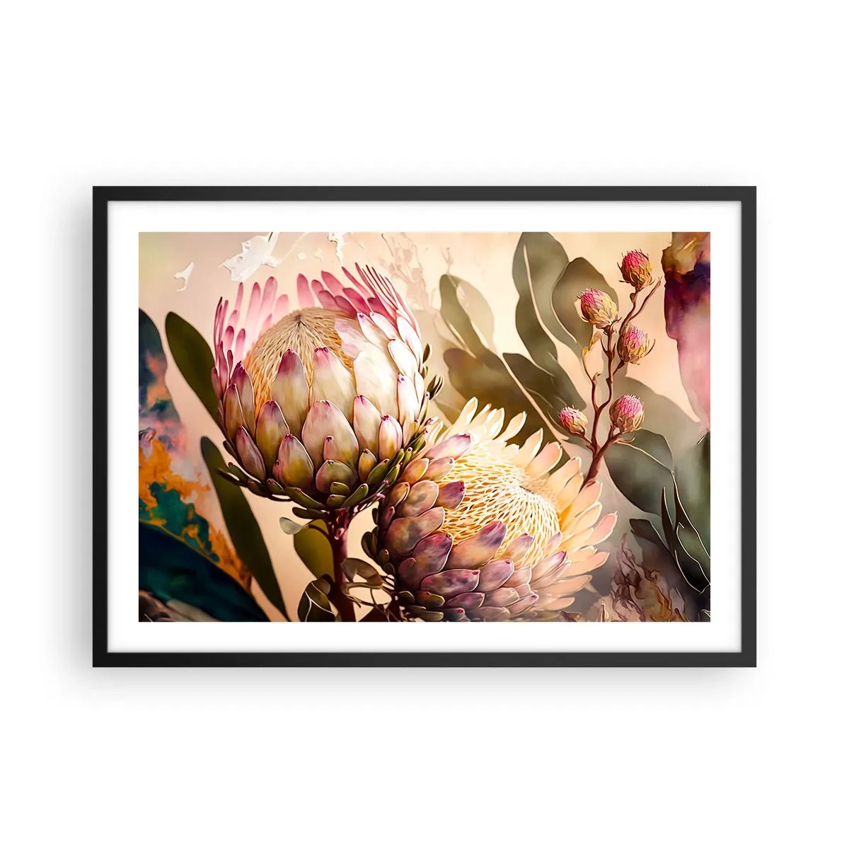 Plakat w czarnej ramie - Kolorowe kwiaty protei na delikatnym tle - 70x50cm - Czule objęte - Nowoczesna dekoracja ścienna do salonu i sypialni ARTTOR