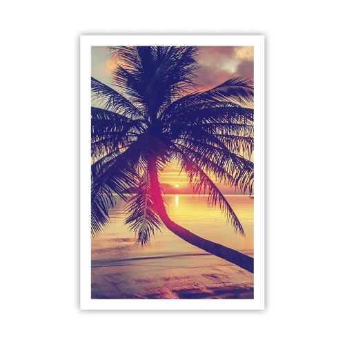 Plakat - Wieczór pod palmami - 61x91 cm