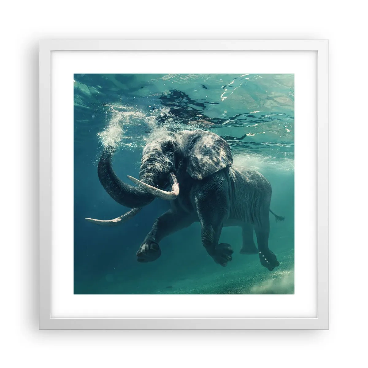 Plakat w białej ramie - Wszyscy lubią pływać - 40x40 cm