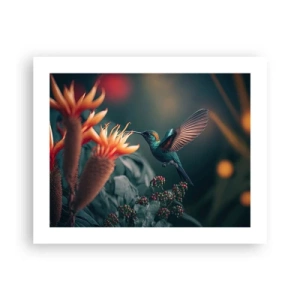 Plakat - naprawdę barwne życie - 50x40 cm