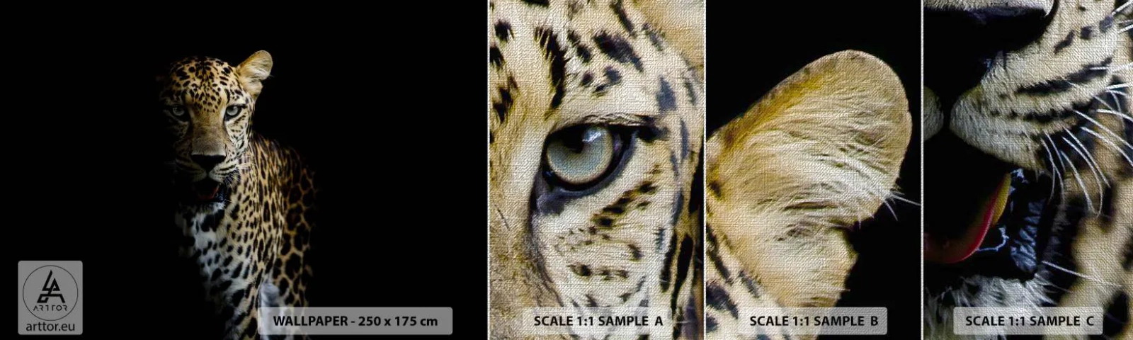 Fototapeta Próbka Premium Canvas - Mroczne piękno - Zwierzęta, Lampart, Dziki Kot - 100x30 cm