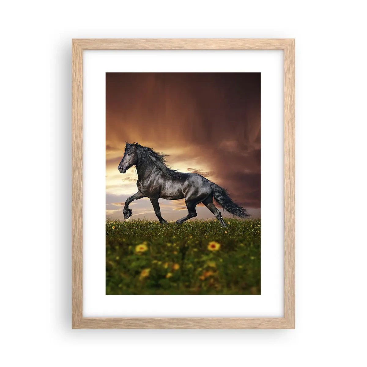 Plakat w ramie jasny dąb - Czarny książę - 30x40 cm