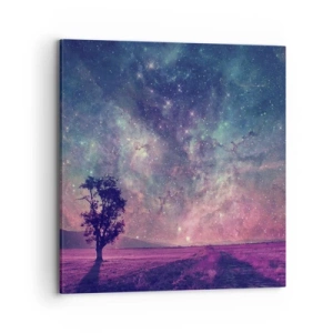 Obraz na płótnie - Pod magicznym niebem - 70x70 cm