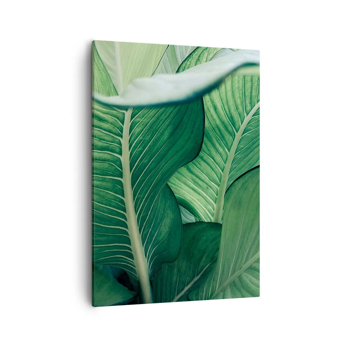 Obraz na płótnie - Zielone liście tropikalnej rośliny - 50x70cm - Życie intensywnie zielone - Nowoczesna dekoracja ścienna do salonu, kuchni i sypialni ARTTOR