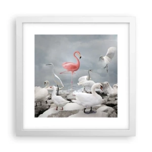 Plakat w białej ramie - Skąd się tu wziąłem? - 30x30 cm