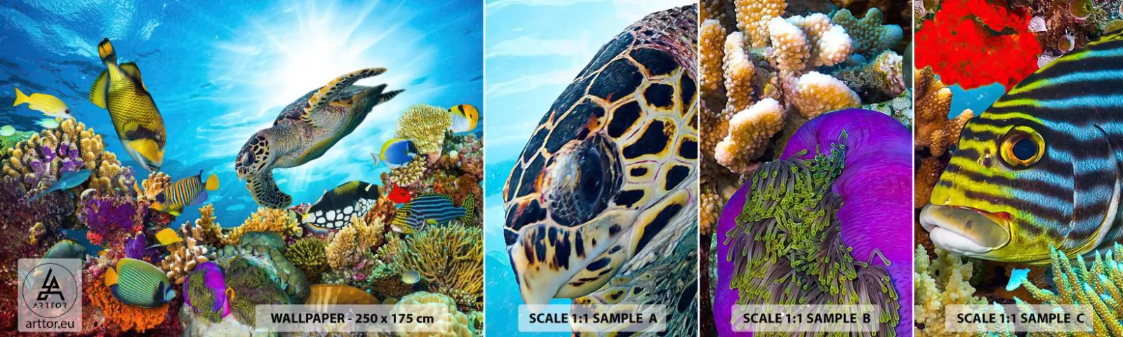 Fototapeta Próbka Samoprzylepna Deluxe Sticker - Koralowa promenada - Rafa Koralowa, Morze, Podwodny Świat - 100x30 cm