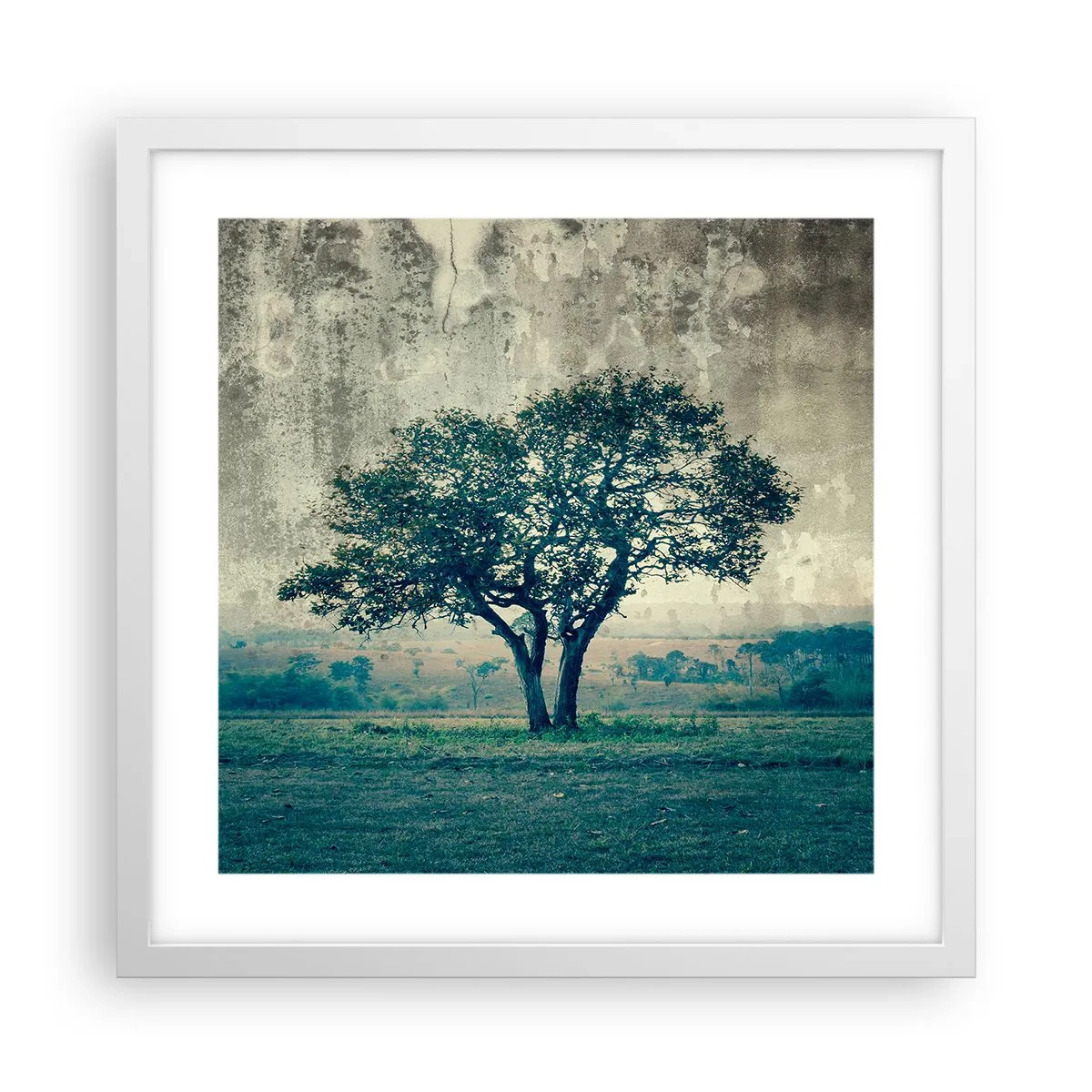 Plakat w białej ramie - Jabłoń na błękitnym błoniu? - 40x40 cm