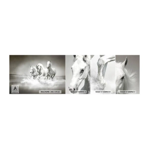 Fototapeta Próbka Samoprzylepna Deluxe Sticker - Białe szaleństwo - Zwierzęta, Konie, Natura - 100x30 cm
