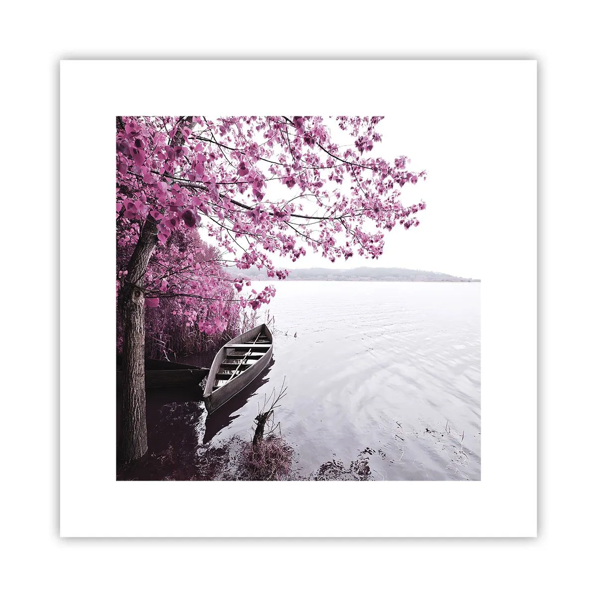 Plakat - W różowej ciszy - 30x30 cm