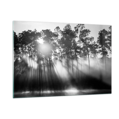 Obraz na szkle - Czarno-białe drzewa w lesie z promieniami słońca w mgiełce - 120x80cm - Niepowstrzymane słońce - Nowoczesna dekoracja ścienna do salonu, kuchni i sypialni ARTTOR
