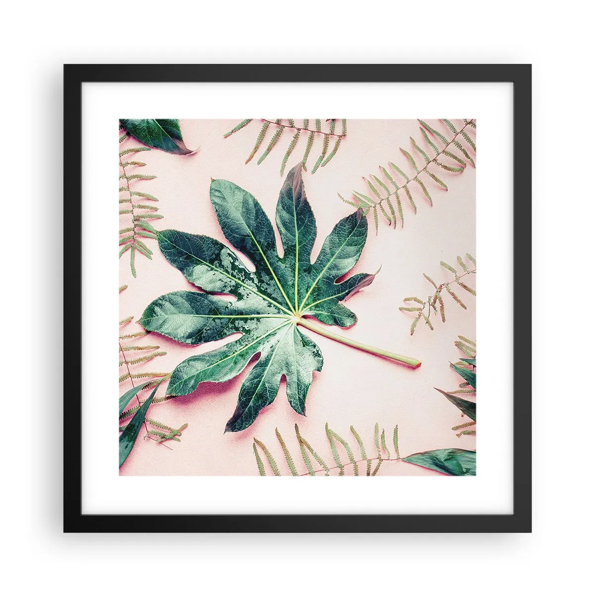 Plakat w czarnej ramie - Studium zieleni na różowym tle - 40x40 cm