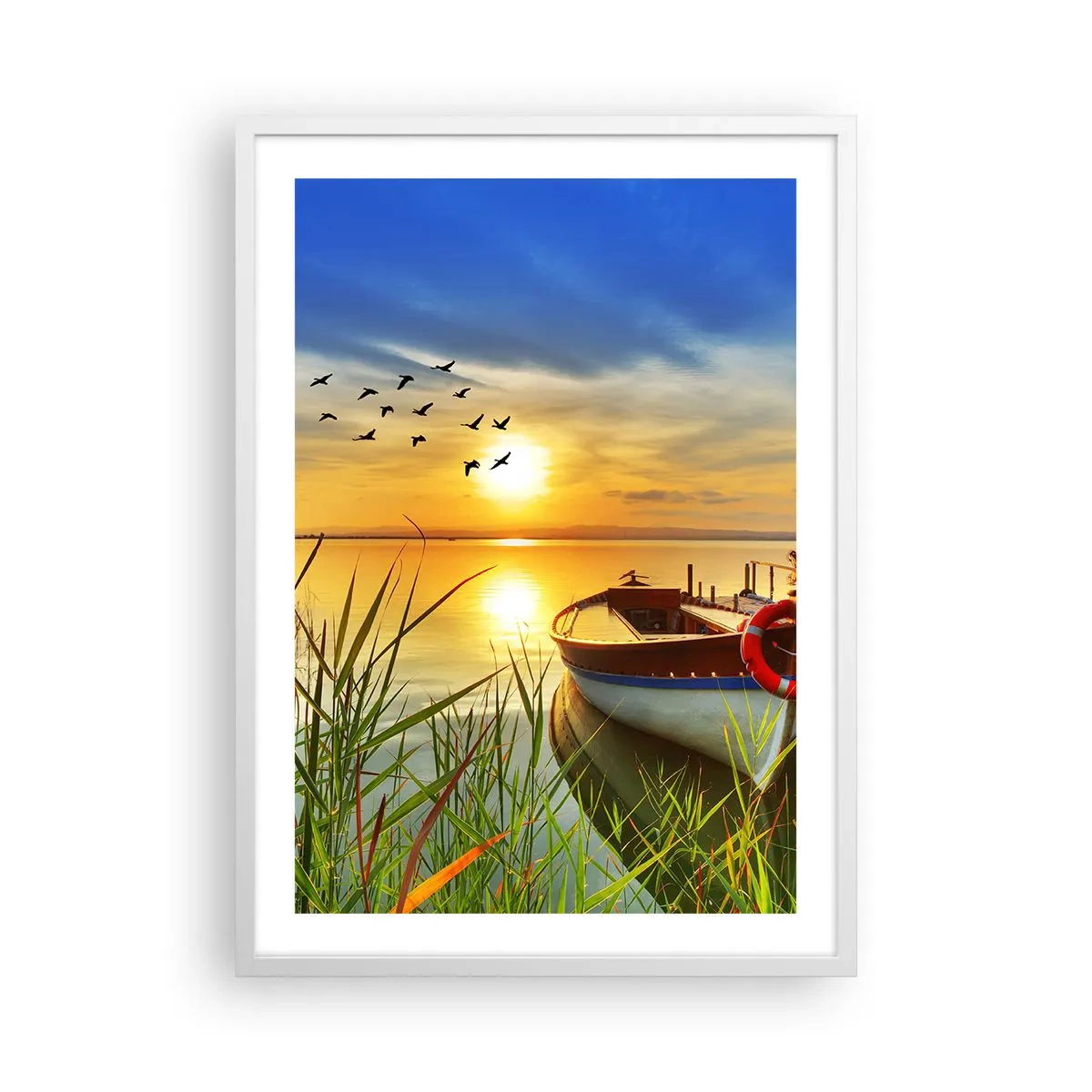 Plakat w białej ramie - Kormorany odlatują już - 50x70 cm