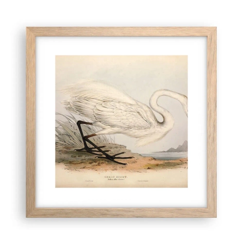 Plakat w ramie jasny dąb - Pani na szuwarach - 30x30 cm