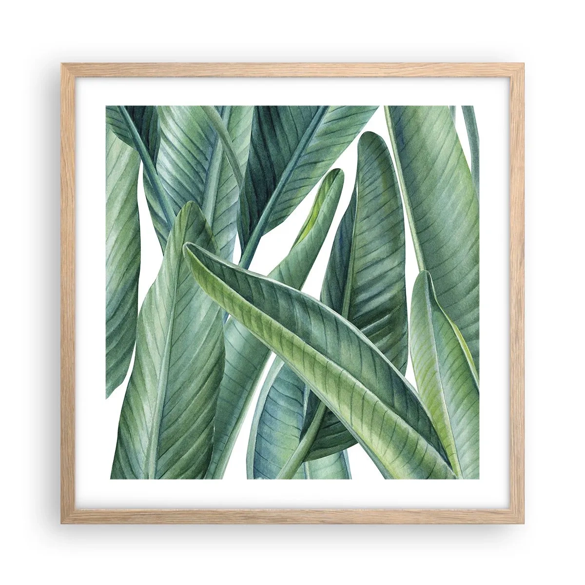 Plakat w ramie jasny dąb - Zieleń sama w sobie - 50x50 cm