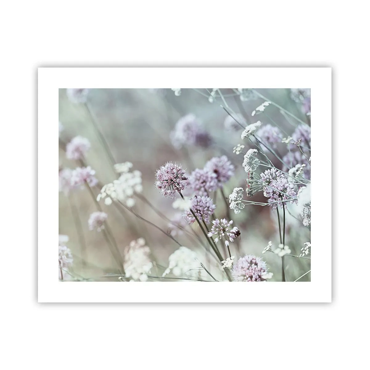 Plakat - Słodkie filigrany ziół - 50x40 cm